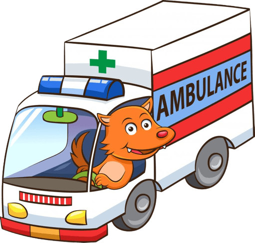 Animal Ambulance